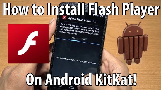 adobe flash player 10.2  free
